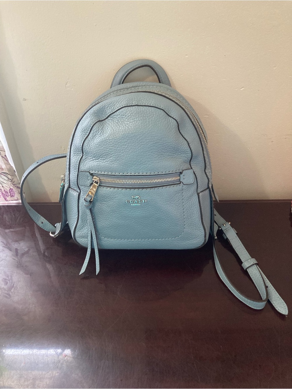 Coach Mini Backpack in Blue